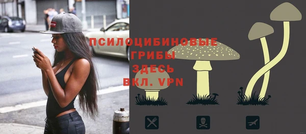 круглые Каменногорск