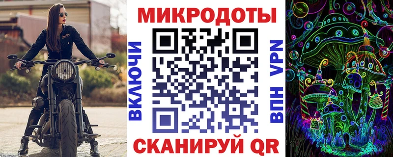 Галлюциногенные грибы Psilocybe  Купить закладки  Елизово 